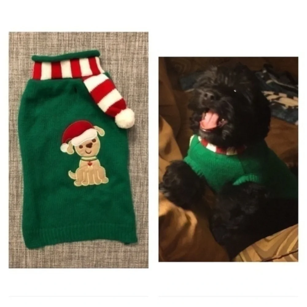 Christmas dog outfit